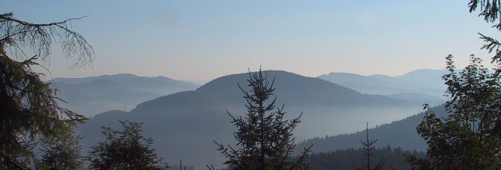 Headfoto Morgennebel im Sauerland 1