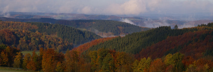 Headfoto Morgennebel im Sauerland 2